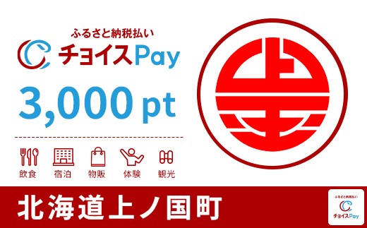 
            上ノ国町チョイスPay 3,000pt【会員限定のお礼の品】
          