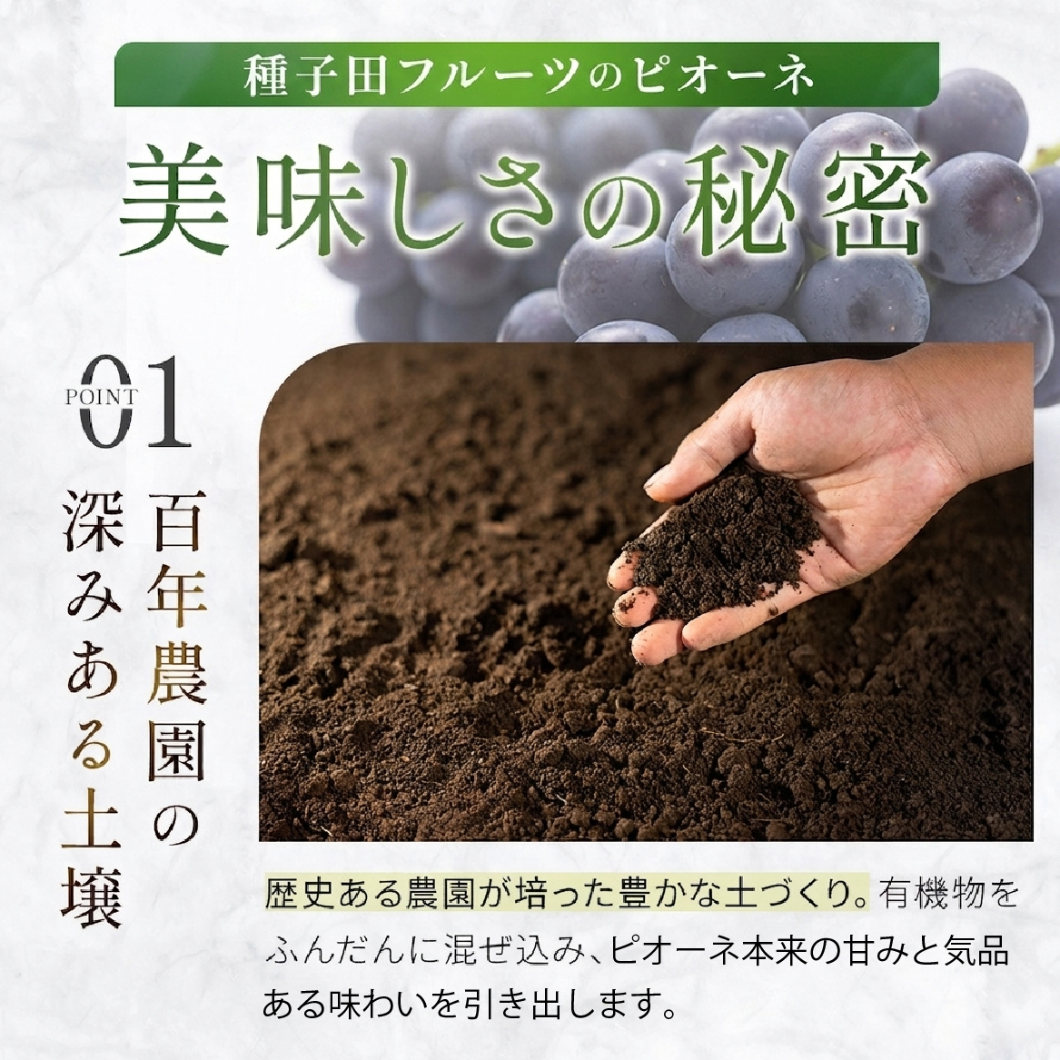 【2027年発送】【大粒・種なし】 ピオーネ（ニューピオーネ）1kg ぶどう 葡萄 フルーツ