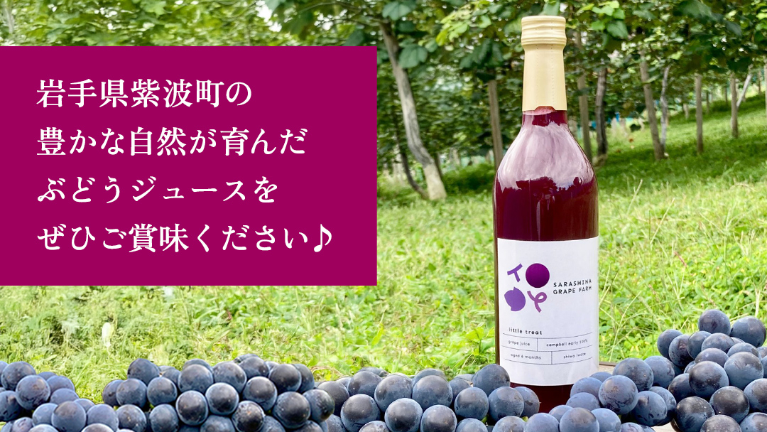 ちょっと贅沢なぶどうジュース 2本セット ぶどうジュース ジュース ぶどう ブドウ 葡萄 キャンベルアーリー キャンベル ストレート 100％ 濃厚 6か月熟成 720ml 2本 ギフト プレゼント 贈り物 贈答 贅沢 岩手県 紫波町 (ER001)