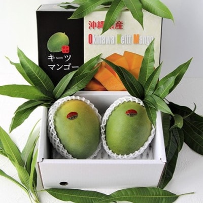 【2026年9月から順次発送・家庭用】山城フルーツ園の幻キーツマンゴー1.5kg(2～3玉)【配送不可地域：離島】