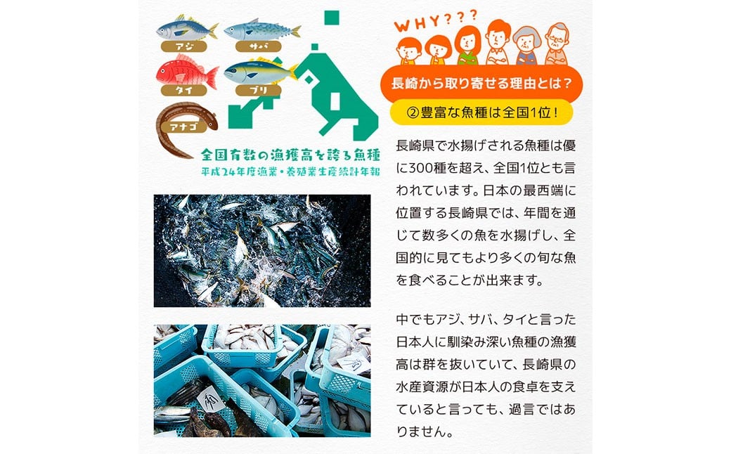 真アジ一夜干し 21尾 ／ 海鮮 魚介 干物 ひもの あじ 鯵 アジ 長崎県 長崎市