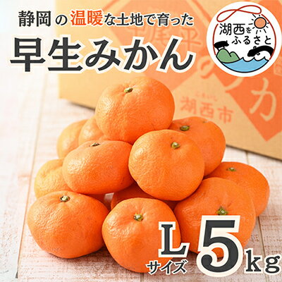 【ふるさと納税】【先行予約】【11月上旬より順次出荷予定】早生みかん約5kg Lサイズ〔鈴木農園〕【1510117】