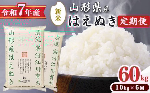 ＜2025年10月中旬より6回＞【令和7年産 定期便】はえぬき計60kg！お米 定期便（10kg×6回）！清流寒河江川育ち 山形産はえぬき 2025年産　195-C-JA013-202510中