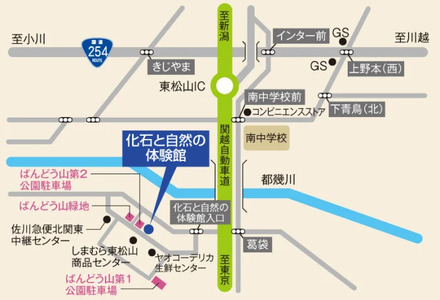 化石と自然の体験館　手ぶらで発掘セット（1名分） 【 化石 化石発掘 チケット 体験 1名分 東松山 】 