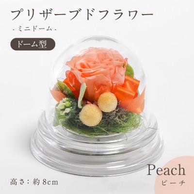 ふるさと納税 羽島市 プリザーブドフラワー ドーム型アレンジ 【ミニドーム(ピーチ)】