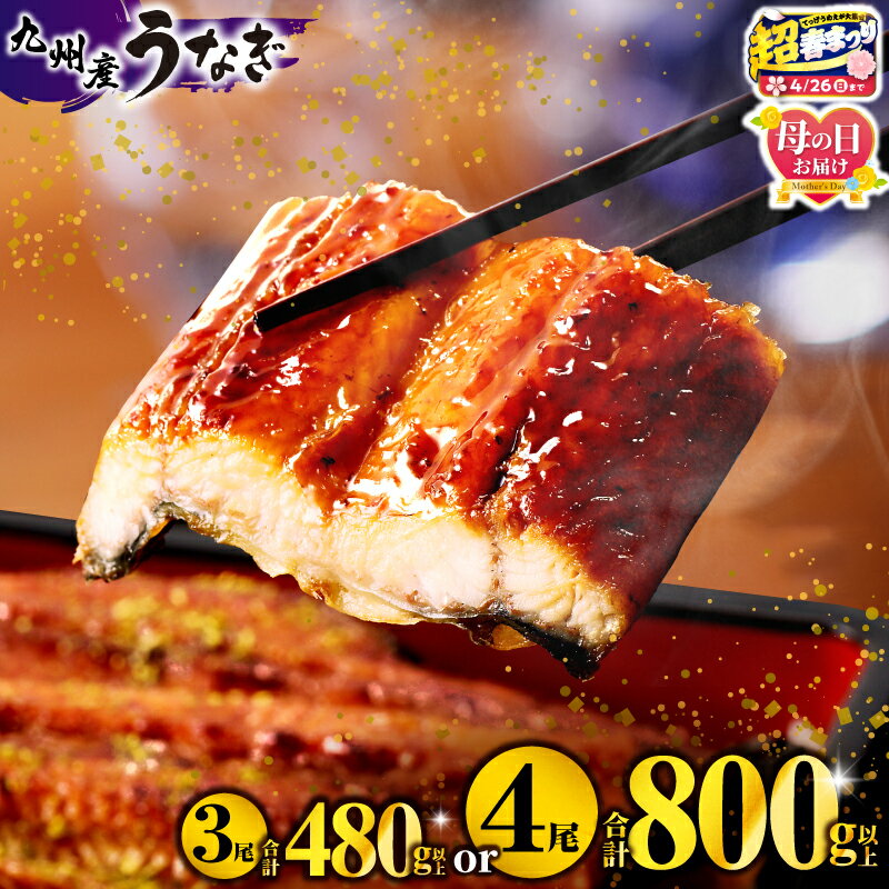 【数量限定】国産うなぎ蒲焼4尾 計800g以上 鰻蒲焼ウナギ蒲焼用たれさんしょうのセット