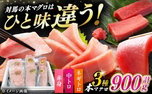 【1週間以内発送】【通常配送】対馬産 本マグロ 3種 計900g（赤身/中トロ/ネギトロ）《対馬市》【対海】[WAH029] スピード発送 最速発送 最短発送