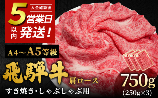
                  飛騨牛 A4~A5等級 肩ローススライス 750g 岐阜県産 A4 A5 すき焼き しゃぶしゃぶ 鍋 黒毛和牛 肩ロース ロース カタロース スライス 霜降り 牛肉 牛 国産 お取り寄せ ごちそう 自宅用 和牛 小分け 最短発送 肉のひぐち
                