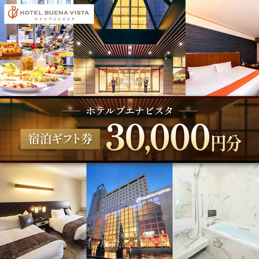 【ふるさと納税】アルピコホテルズ ホテルブエナビスタ 宿泊ギフト券（30,000円分）＋松本周遊バス1日乗車券│信州 松本市 ホテルブエナビスタ 温泉 宿泊 宿泊ギフト券 ギフト券 旅行 観光 旅 宿泊補助券
