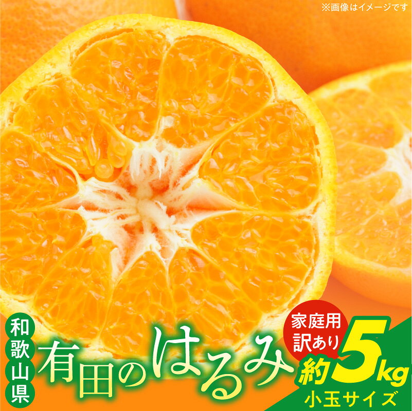 【ふるさと納税】【限定】 【2027年先行予約】 訳あり はるみ みかん 約5kg 家庭用 小玉 柑橘 フルーツ 和歌山 有田 糖度 甘い 果汁 柔らかい 皮が薄い 食べやすい 産地直送 果物 かんきつ類 傷あり お取り寄せ 果実 和歌山県 湯浅町 送料無料