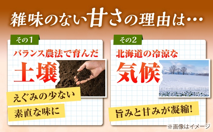 大豆 だいず ダイズ ユキホマレ 乾燥大豆 豆 まめ 手作り味噌 煮豆 節分