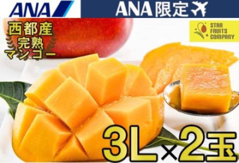 【ANA限定】西都市産完熟マンゴー3Ｌ×2玉（約900ｇ）　スターフルーツカンパニー【先行予約】＜1.7-31＞