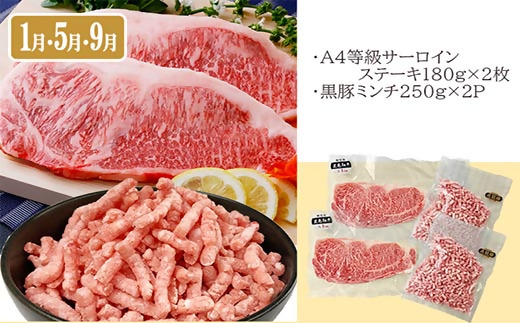 定期便4回配送　お肉とお魚のよくばり定期便　EE0−0001【配送不可地域：離島】【1538802】