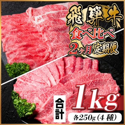 【毎月定期便】飛騨牛 2種食べ比べ定期便 計1kg全2回【配送不可地域：離島】