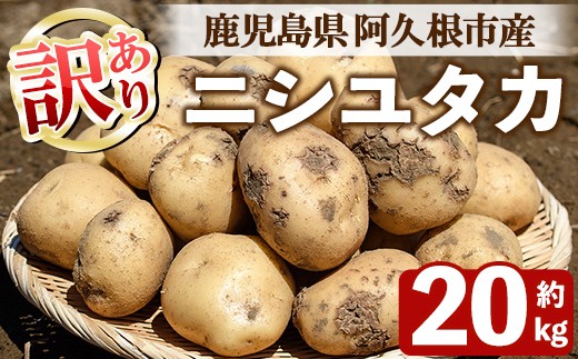 
                  ＜先行予約受付中！2026年6月以降順次発送予定＞訳あり！じゃがいも ニシユタカ(20kg) 国産 鹿児島県産 阿久根市産 じゃがいも ジャガイモ 芋 ポテト にしゆたか 訳アリ 野菜 ポテトサラダ コロッケ 常温 常温配送 【慶越農園】akn107-08
                