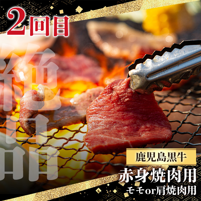 y443 ＜定期便・全3回(連続)＞黒毛和牛の赤身牛肉コース(すき焼き、焼肉、ステーキ)  国産 九州産 鹿児島県産 牛肉 黒毛和牛 和牛 赤身 ステーキ 定期便 頒布会 毎月 すき焼き しゃぶしゃぶ