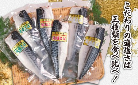 お試しセット 適塩さば 真空 個包装 鯖 6枚 適塩 昆布 純米酒