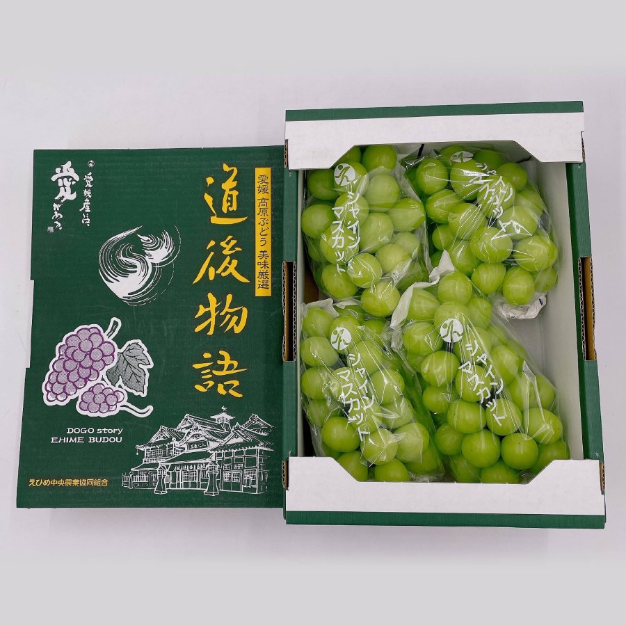 ＜愛媛県産＞「道後物語」シャインマスカット4～5房　計2kg