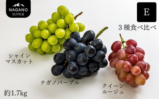 KG18-25A ぶどう食べ比べセット 3種 E（シャインマスカット/ナガノパープル/クイーンルージュ