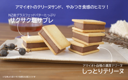 アマイオトの「芳醇ショコラテリーヌサンド6個」| テリーヌ