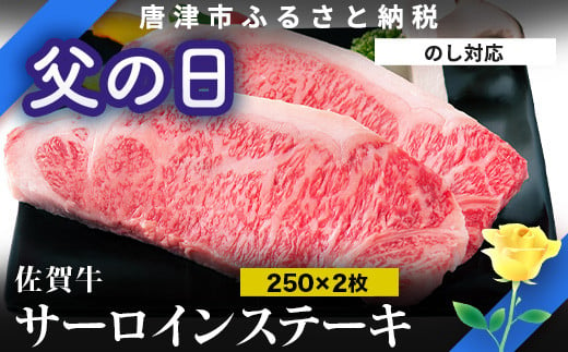 
「父の日」佐賀牛 サーロインステーキ250g×2枚 (合計500g) 和牛 ご褒美に ギフト用 2人前 霜降り牛肉
