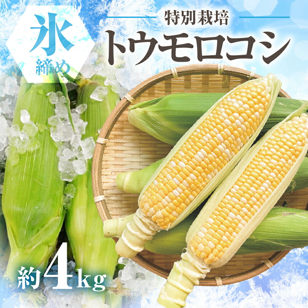 【ふるさと納税】【先行予約】渥美半島産　寺田さんちのとうもろこし　バイカラー 10本～12本 約4kg とうもろこし デザート 農家直送 送料無料 朝採れ コーン 野菜 キャンプ BBQ バーベキュー おやつ 田原市 渥美半島 愛知県 夏 旬