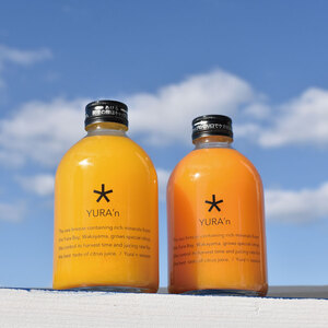 ※ギフト対応可※由良町産　柑橘4種　250ml×4本　ジュースセット