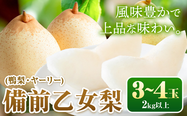 【2026年先行予約】梨 なし 乙女梨 3~4玉 2kg 以上 石原果樹園 《2026年11月中旬-12月下旬頃より発送予定》岡山県 浅口市 果物 フルーツ 梨 鴨梨 備前乙女梨 ヤーリー