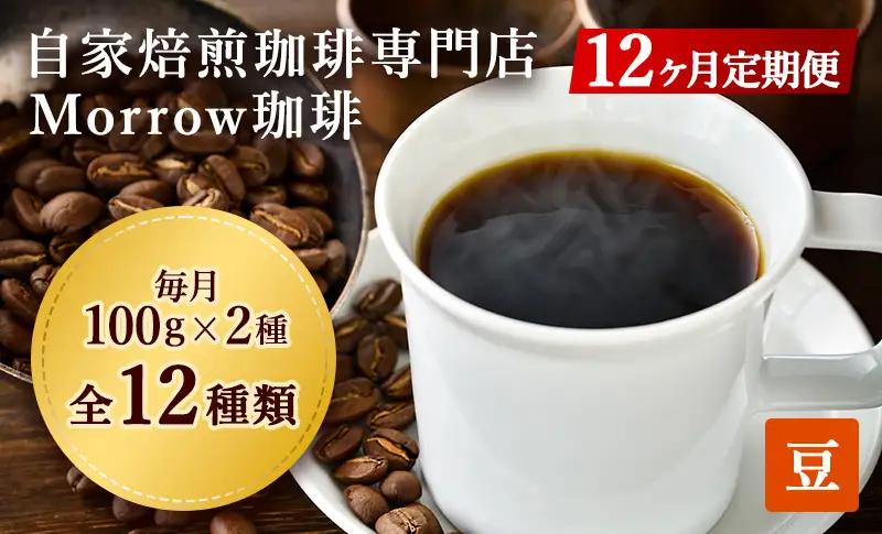 コーヒー豆セット 自家焙煎 Morrow珈琲 2種 コーヒー豆セット【各100g×2種】【定期便12ヶ月】