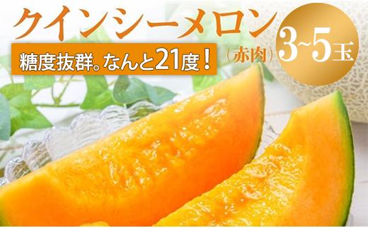 
            最高糖度21度以上！奇跡の クインシー メロン 3～5玉 赤肉メロン めろん 人気 おすすめ クインシー 甘い 濃厚 高糖度 自家栽培 メロン 贈答用 贈り物 プレゼント  送料無料 片岡農園 クレストファーム 茨城県 鉾田市
          