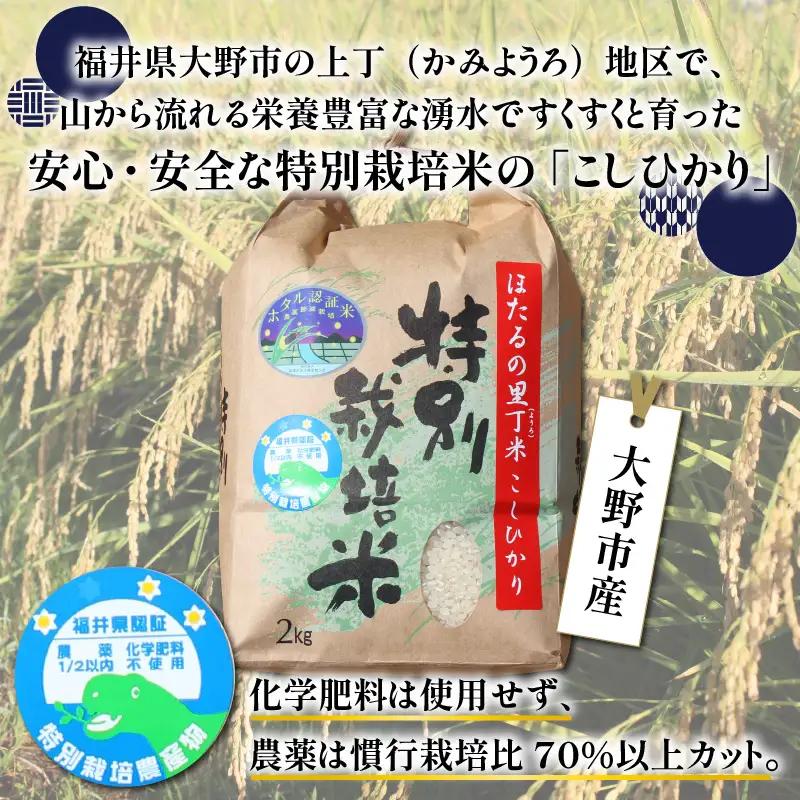 【新米予約受付中】令和8年産 特別栽培こしひかり 6kg 10回定期便【O-002001】