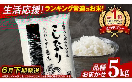 【 6月下期発送 / 数量限定 】茨城県つくばみらい市産 精米 5kg (品種おまかせ） 令和6年産 こしひかり 米 コメ こめ 単一米 限定 茨城県産 国産 美味しい お米 おこめ おコメ