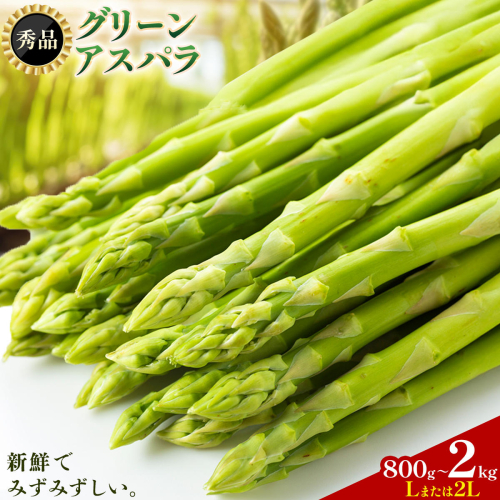 アスパラガス 秀品 アスパラ グリーンアスパラ 選べる内容量 L 2L サイズ 800g (400g×2) 1kg (500g×2) 2kg (500g×4) 門別町農業協同組合(生活資材課)《4月中旬-5月末頃出荷予定》北海道 日高町 送料無料 春野菜 春 朝採り 朝採れ お取り寄せ