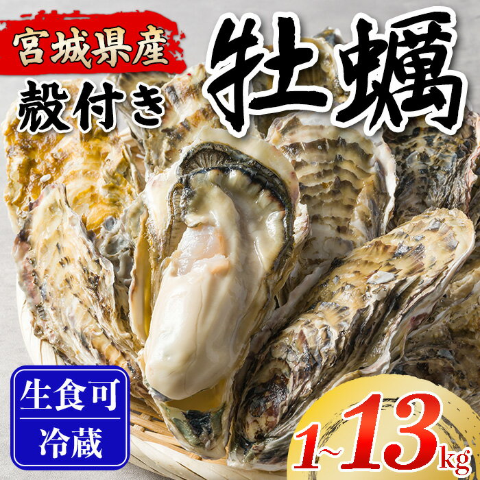 【ふるさと納税】松島牡蠣屋 殻付き牡蠣（生食用）選べる内容量 1～13kg 生牡蠣 宮城県産 牡蛎 牡蠣 カキ オイスター カキフライ 牡蠣鍋 海鮮 国産 魚貝類【菊地水産合同会社】tm744・tm745・tm746・tm747・tm748