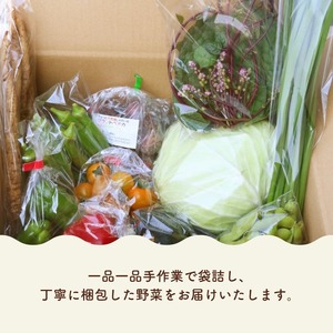 【4ヶ月に1回お届け 全3回コース】南国土佐の季節の野菜詰め合せセット | 旬の野菜詰め合わせ
