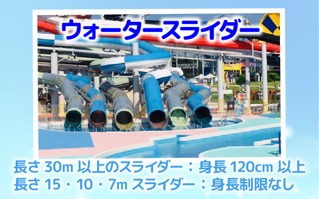 【芝政ワールド】スーパーパスポート1名様(おとな1名) 【遊園地 プール リゾートプール レジャー施設 レジャースポット アトラクション キッズ チケット フリーパス 入場券 旅行 夏休み アウトドア