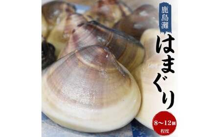 はまぐり 鹿島灘はまぐり 8~12粒程度 【 はまぐり 】