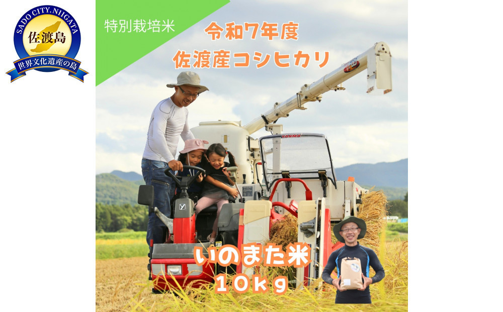 令和7年産コシヒカリ　精米（無洗米）10kg　農家直送　佐渡市いのまた米