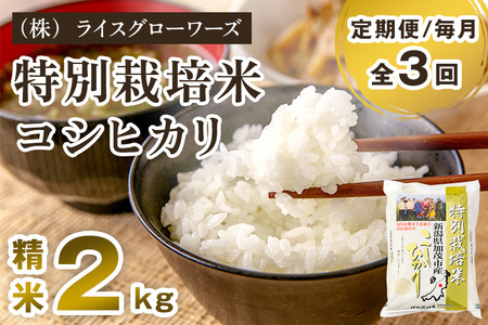 【令和7年産】【定期便3回毎月お届け】新潟県加茂市産 特別栽培米コシヒカリ 精米2kg 《順次出荷》 白米 従来品種コシヒカリ （株）ライスグローワーズ