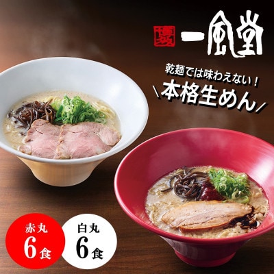 本格生麺 豚骨ラーメン 一風堂 白丸 赤丸 食べ比べ 計12食セット 細麺【1636123】