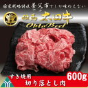 【ふるさと納税】訳あり太田牛切り落とし肉 かたももばら600g【配送不可地域：離島】【1551650】