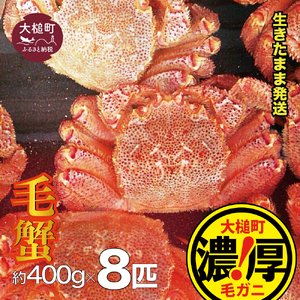 【令和9年発送】三陸産！活毛ガニセット 400g×8杯【08】【2027年2月～4月発送】