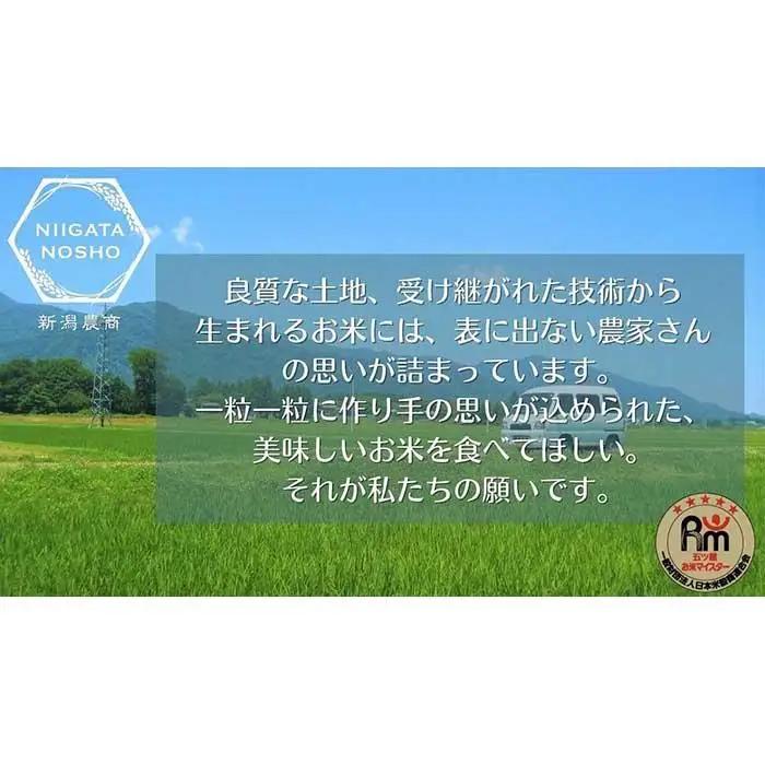 【令和7年産】五ッ星マイスター厳選　魚沼産コシヒカリ　5kg×2