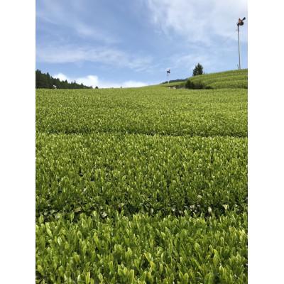 ふるさと納税 森町 遠州森町　三倉の茶　200g |  | 01