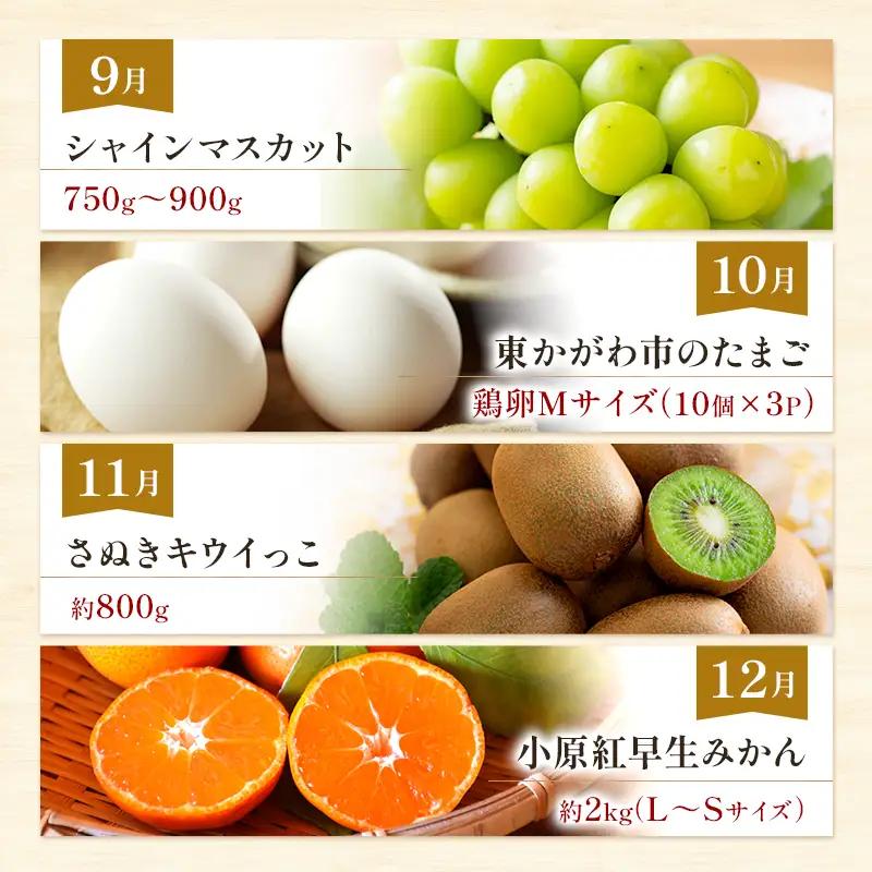 東かがわ市ちょこっと定期便(12回) みかん いちご 讃岐うどん アスパラ トマト メロン コーン 豚肉 シャインマスカット 卵 キウイ 黒毛和牛 香川