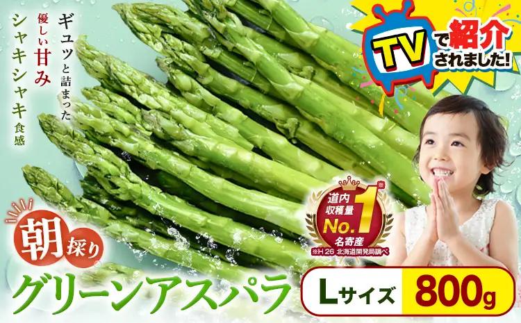 【TVで紹介！】名寄 アスパラガス Lサイズ(800g) アスパラ 先行予約 ≪2027年出荷≫