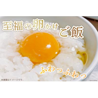ふるさと納税 気仙沼市 米 宮城県産 ひとめぼれ 10kg (5kg ×2袋) 菊武商店 20565591 |  | 03