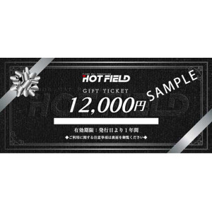 カー用品　フロアマット専門店HOTFIELD(ホットフィールド)公式オンラインストアで使える12,000円ギフト券