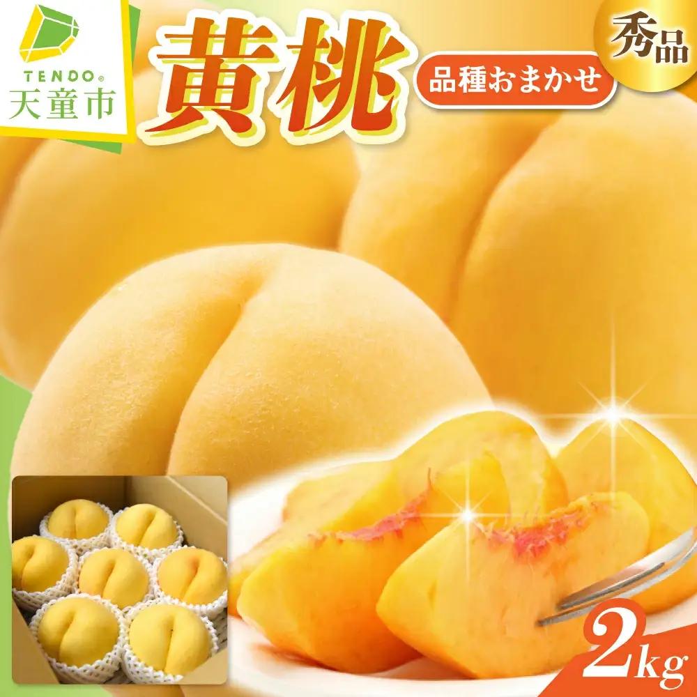 黄桃 ( 品種 おまかせ ) 2kg フルーツ 果物 山形