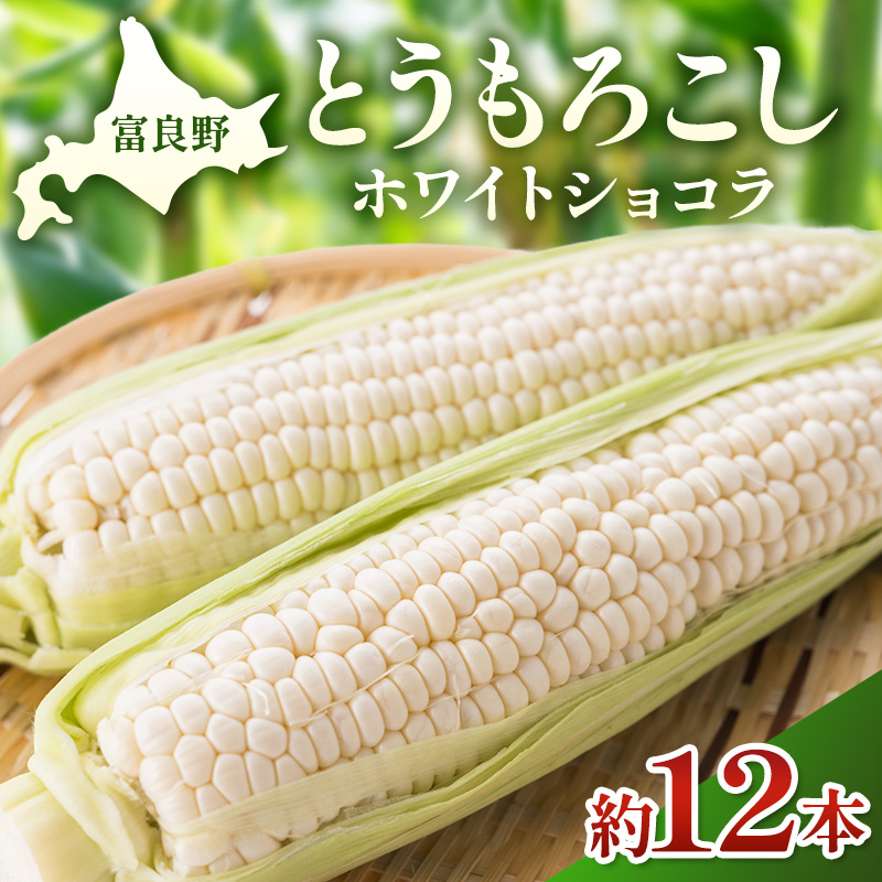 【2026年夏発送】富良野産 とうもろこし ホワイトショコラ 約12本 [近藤農園] とうもろこし コーン とうきび 野菜 新鮮 甘い 贈り物 ギフト 道産 ジューシー ふらの ブランド 夏 北海道 富良野市